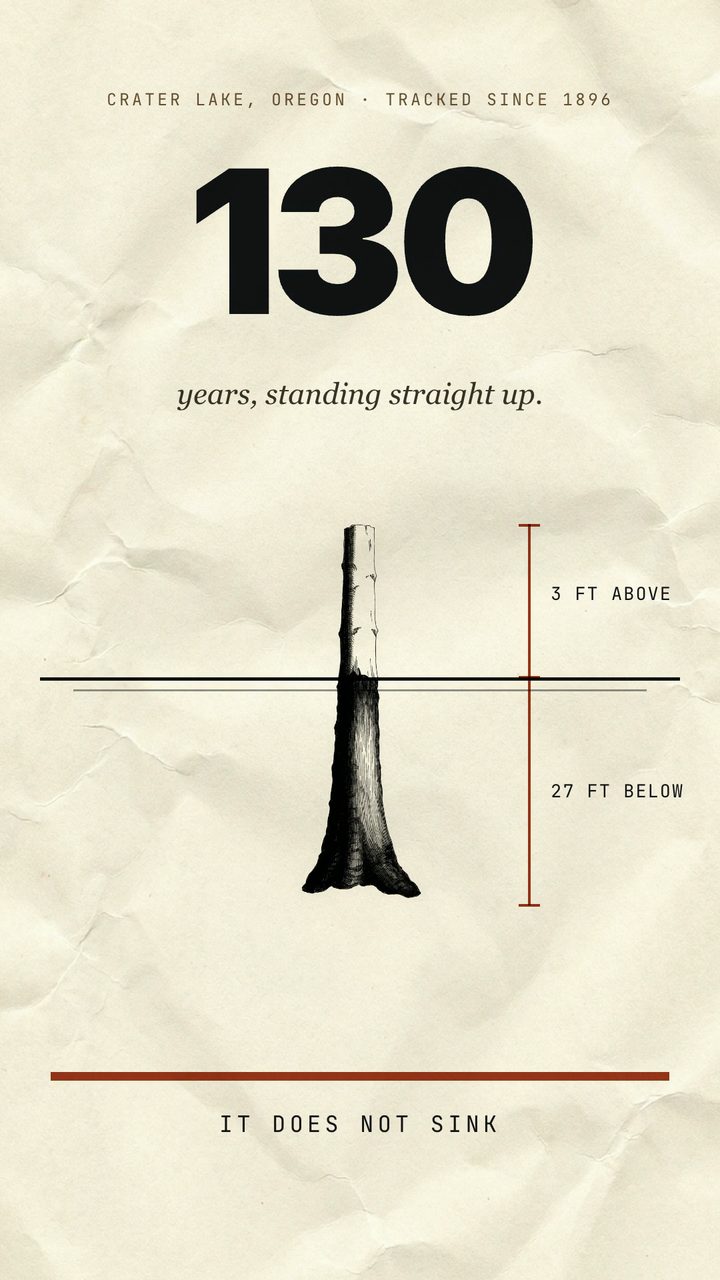 The log that will not lie down — episode